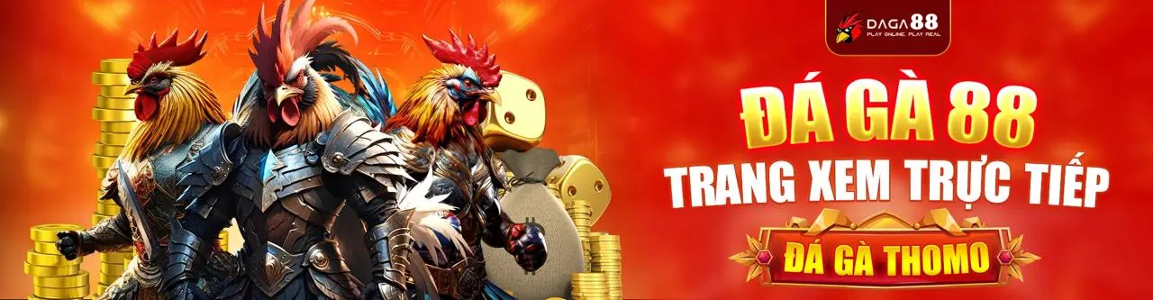 Sân chơi đá gà trực tuyến e28bet chính thức